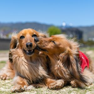 Trainieren im Doppelpack Zusammen mit Freunden im Doppelpack trainieren für Motivation und gemeinsamen Lernerfolg.